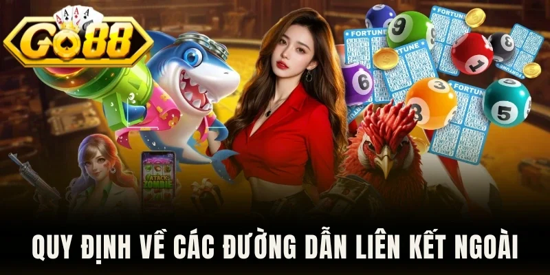 Quy định về các đường dẫn liên kết ngoài